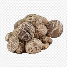 shiitake food drying chinese cuisine organic food duku ybdw8 image provided epicentro festival epicentro festival