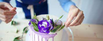 Essbare blüten auch in süßspeisen. Essbare Bluten Als Edle Verzierung Des Speisetellers Metro