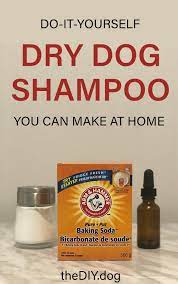 How do i make homemade dog shampoo? Got A Stinky Dog This Diy Dry Dog Shampoo Can Help Kol S Notes