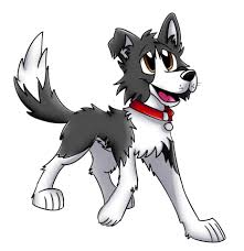 Check out our new chibi drawing book on amazon. Border Collie Free Stock Photo Public Domain Pictures