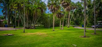 501 bus route drops you . Cook Park St Petersburg Parks Recreation