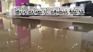 أفضل شركة تنظيف بابها لايجار 00201011916991 شركة تنظيف فلل و شقق و كنب و موكيت و سجاد