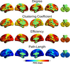 Development of the Brain Functional Connectome Follows Puberty-Dependent  Nonlinear Trajectories