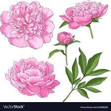 Pin On Tattoo Inspiration