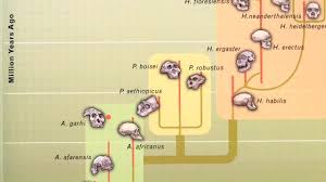 Geologists have used this method to date rocks as much as 4 billion years old. A Z Of Archaeology K K Ar Dating Potassium Argon Dating Youtube