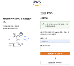 亲测有效】永久白嫖AWS云服务器，验证、注册指南| 进击的胖虎