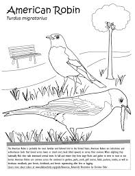 Phoenix rising from fire coloring pages. American Robin Coloring Page