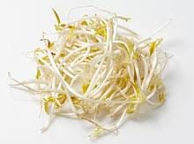 We would like to show you a description here but the site won't allow us. Mung Bean Sprout Wikipedia
