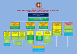 I am a lecturer at the college of medical assistant in seremban. Carta Organisasi Lembaga