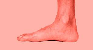 The average length of the fish is about two feet. Does Foot Size Predict Penis Size And Other Facts On The Science Of Feet Fatherly