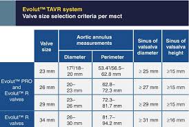 valve sizing springerlink