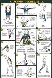 Latest Blog Article Top 10 Physiotherapy Exercise Charts