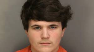 Two Florence teens charged after string of car break-ins