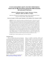 Image result for Marantochloa leucantha