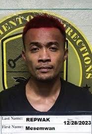 New attorney appointed to represent Repwak in four cases