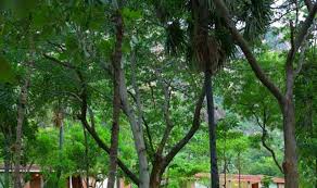 See 499 traveller reviews, 1,005 user photos and best deals for anantya resorts, ranked #1 of 56 kanyakumari hotels, rated 4.5 of 5 at tripadvisor. Bu Rqgkyciwxum