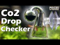 Pisces How To Co2 Drop Checker