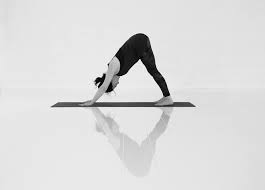 Altijd Weer Die Downward Facing Dog Pilates Work