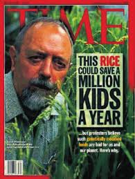 The present status of Golden Rice