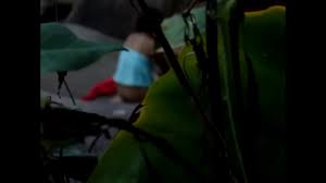 caragua beach - XNXX.COM