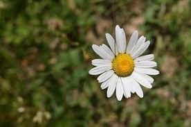 可以玩红包扫雷的彩票软件-可以玩红包扫雷的彩票v4.9.7