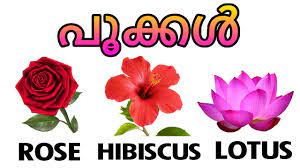 Select category fish names flower names numbers fruit names spice names animal names insect names vehicle names shellfish names human body parts color names days months vegetable flower names in malayalam with audio pronunciation and transliteration in english. Learn Names Of Flowers Flowers Names With Pictures Vocabulary Malayalam Educational Video Youtube