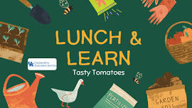 Lunch & Learn: Tasty Tomatoes