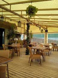 very fresh oysters photo de les jardins d oc bouzigues tripadvisor