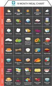Your baby will be adventurous or develop into a fussy eater, with the introduction of new food, so make sure you pick the best and delicious tasting food for them. Indian Baby Food Chart Ultimate Guide For 0 12 Months Old 2021 Updated