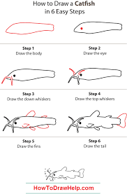 How To Draw A Catfish Step By Step Tutotrial Drawings Draw Body Drawing