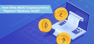 The transaction doesn't go to the other wallet directly, it goes to. How Does Multi Cryptocurrency Payment Gateway Work Payspace