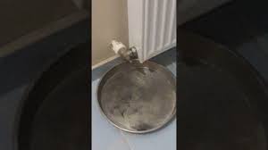 Sizin için kaloriferlerin iyi ısıtması için petek içi nasıl temizlenir. Evde Petek Temizligi Nasil Yapilir Youtube