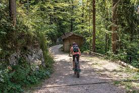 abfahrt durch den wald berchtesgadener alpen mountainbike radfahren