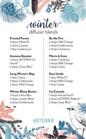 Hol Fit Diffuser Guide Hol Fit