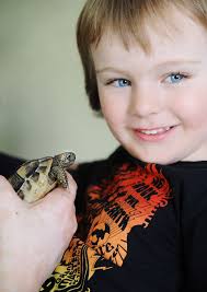 Alex delar rum med en sköldpadda