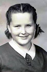 Aerial view of the Greenwood School and neighborhood