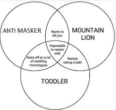 First, critical race theory views race and racism this way: Adrienne Davis On Twitter I Love A Good Venndiagram Wearamask Socialdistancing Flattenthecurve