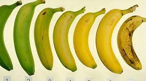 Pohon nya yang tergolong batang semu. Beda Warna Buah Pisang Ternyata Beda Juga Kandungan Gizinya Mana Yang Lebih Baik Tribun Jateng