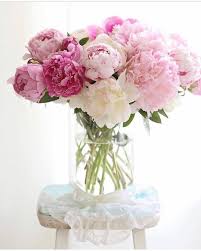 Check spelling or type a new query. Julie On Instagram Happy Monday These Beauties From Sylvia Slcook52 Showed Up In My Memories And They Re T Pretty Flowers Flower Arrangements Pink Flowers