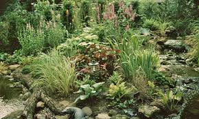 How To Build A Bog Garden Around Your Pond