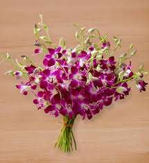 When you buy orchids, do not let them sit in a hot or cold car or damage may additionally, many fine growers will ship orchids right to your door! Adhn9p5ltkxpkm