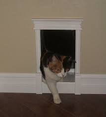 Custom Cat Door Puuuuuurrrrfect Cat Door Cat Room Custom Cat