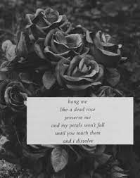 Find aesthetic rose wallpapers hd for desktop computer. Dark Tumblr Wallpaper Quotes Dark Wallpaper Tumblr Dogtrainingobedienceschool Com