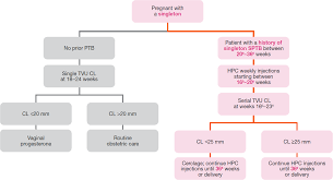 Clinical Guideline Hcp Home Makena