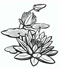 Motif batik yang mudah digambar untuk anak smp apakah xyz. Sketsa Bunga Bunga Matahari Teratai Mawar Sakura Tulip Pelajarindo Com