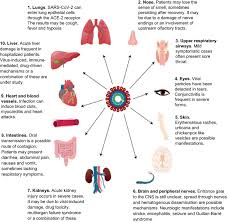It's caused by a breakdown in the normal communication between nerves and muscles. Management Of Patients With Neuromuscular Disorders At The Time Of The Sars Cov 2 Pandemic Springerlink