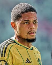 Should Jamaica's football federation give Orville Higgins Burrell control?