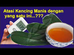 Untuk itu, kami sajikan cara mengatasi namun, ada beberapa kondisi pada seseorang yang mengalami rasa kencing tidak tuntas. Cara Mengobati Penyakit Kencing Manis Secara Alami Dengan Daun Sirsak Youtube