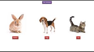 When you want to get a new pet, you have many resources, ranging from rescue groups and shelters to breeders and family and friends. Kids Pet Animals V1 Pet Animals Name Laptrinhx