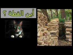 لشديدي الملاحظة يوجد قطة في هذه الصورة وأتحداك ان تجدها في 30 ثانية Youtube
